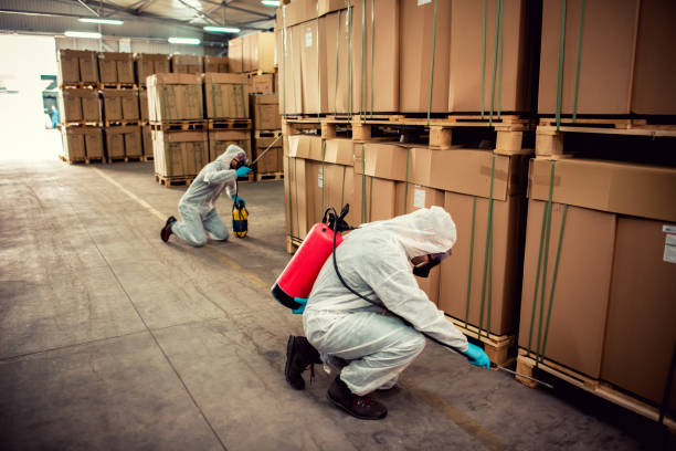 Best Pest Control Near Me  in Pensacola Station, FL