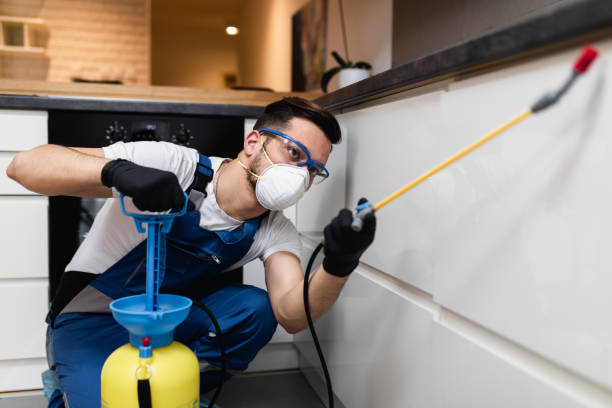 Best Cockroach Control Services  in Pensacola Station, FL