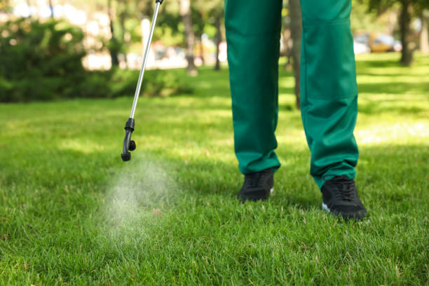 Best Local Pest Control Services  in Pensacola Station, FL